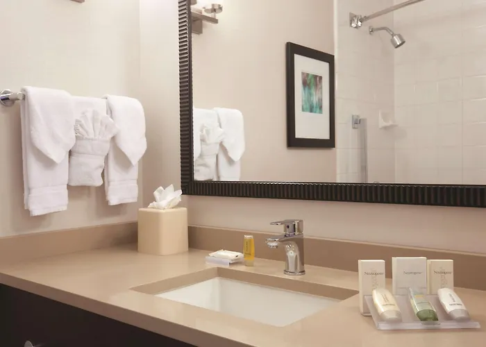 Hotel Hilton Garden Downtown/magnificent Mile Chicago