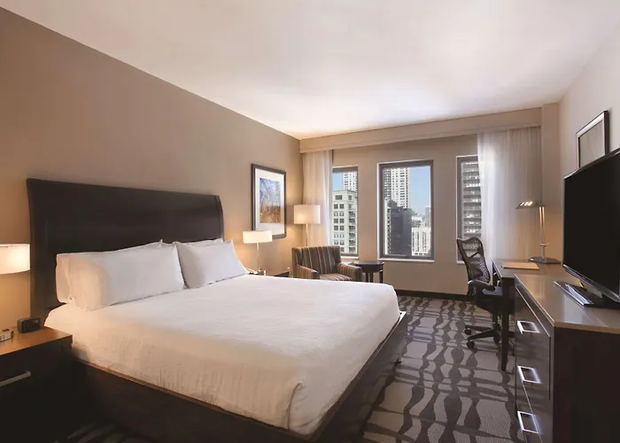 Hilton Garden Downtown/magnificent Mile 3* Chicago
