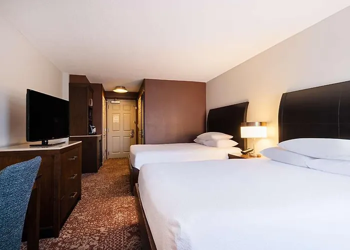 Hilton Garden Downtown/magnificent Mile Hotel