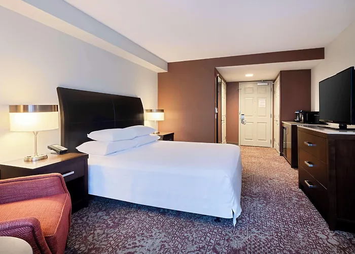 Hilton Garden Downtown/magnificent Mile Chicago