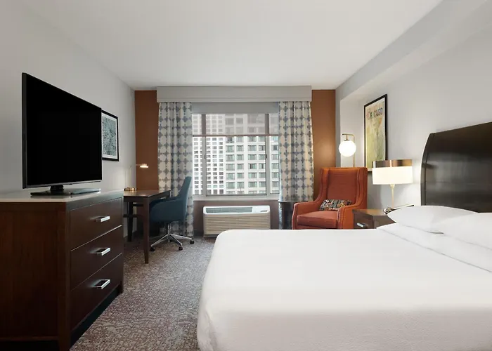 Hotel Hilton Garden Downtown/magnificent Mile Chicago