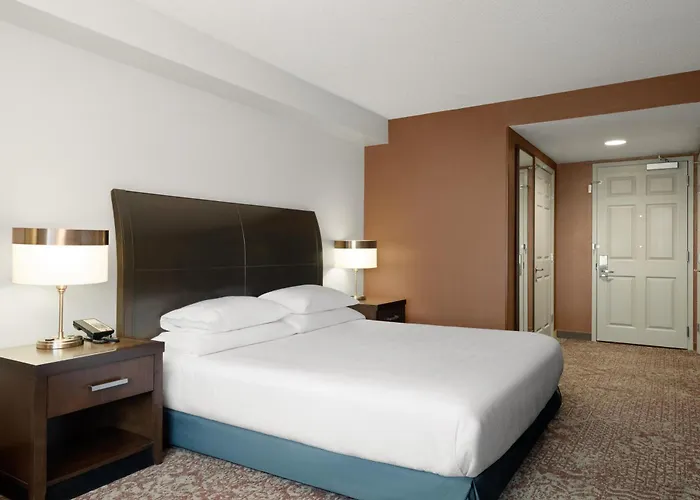 Hilton Garden Downtown/magnificent Mile 3* Chicago