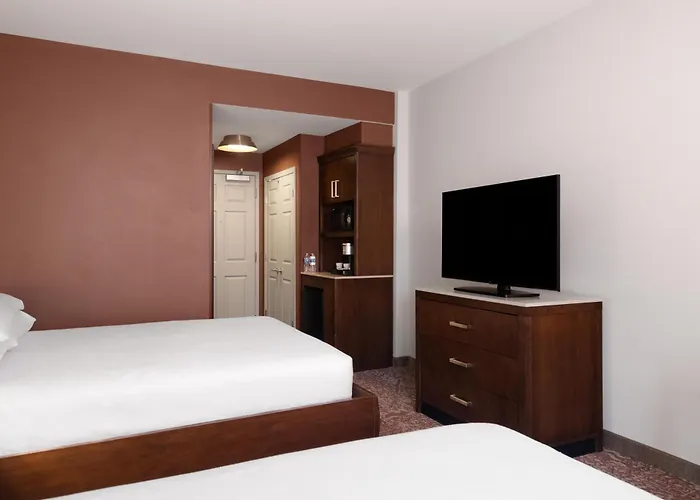 Hilton Garden Downtown/magnificent Mile