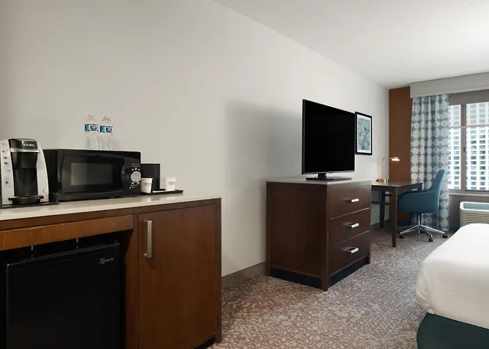 Hilton Garden Downtown/magnificent Mile Hotel Chicago