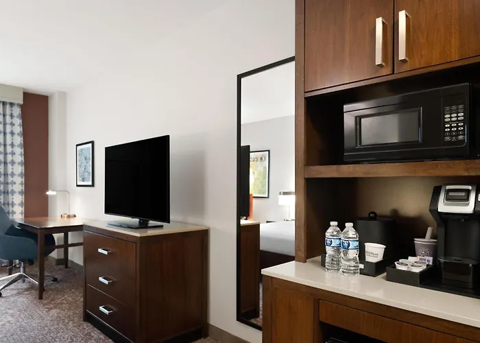 Hilton Garden Downtown/magnificent Mile Chicago