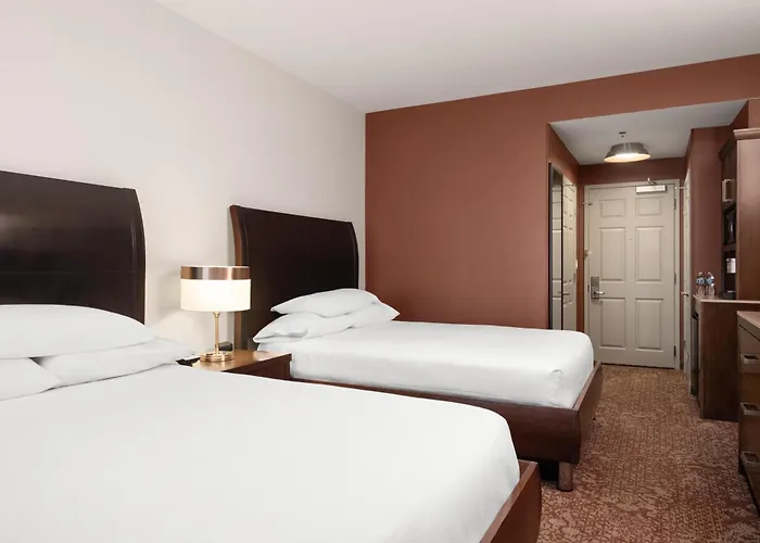Hotel Hilton Garden Downtown/magnificent Mile