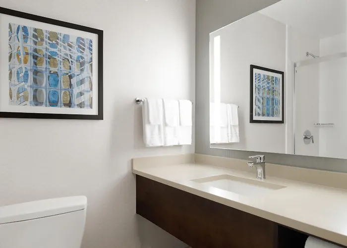 Hotel Hilton Garden Downtown/magnificent Mile 3*